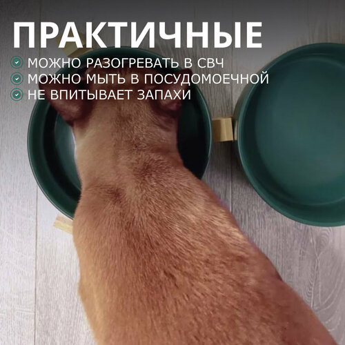 ���� ����� ��� ����� � ����� �� ���������, ������ ������