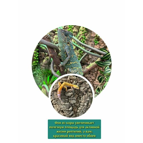 ���� ��� ��� ���������� 35*25�� �������� 3D �� ��������� ���� �����������, ������ ������