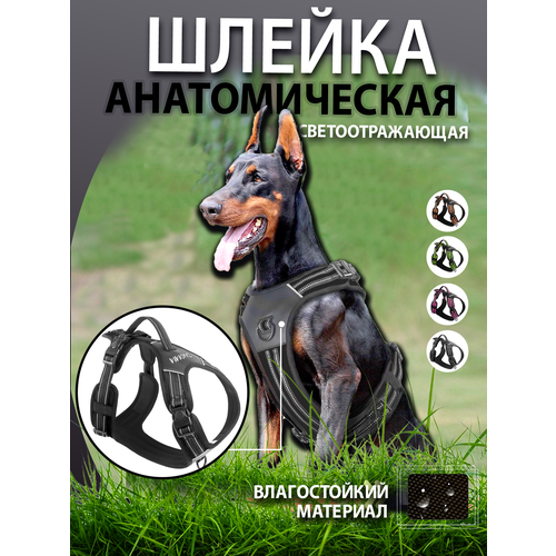 ���� ������ ��� ����� ������ M, ������ ������