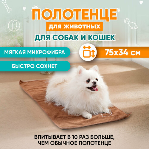     , Mr Dog, M, 35 75 .   -     , -  