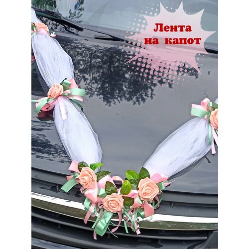 ���� ��������� ����� �� ������ � ������� � �������. ��������� �� ��������� ����������., ������ ������