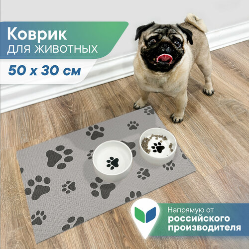 ���� ������ ��� �������� ��� ����� ����������������� 