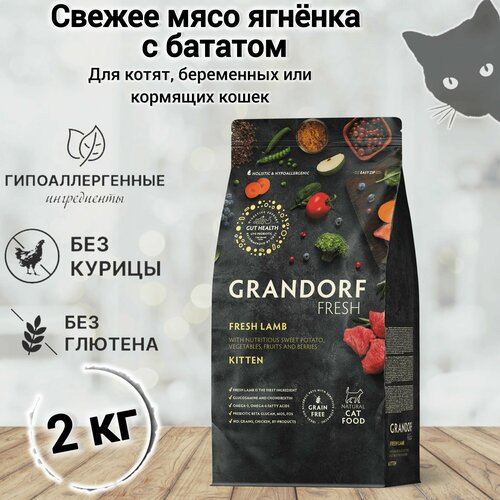      GRANDORF Fresh Cat KITTEN Lamb&Sweet Potato (      ) 2 .   -     , -  