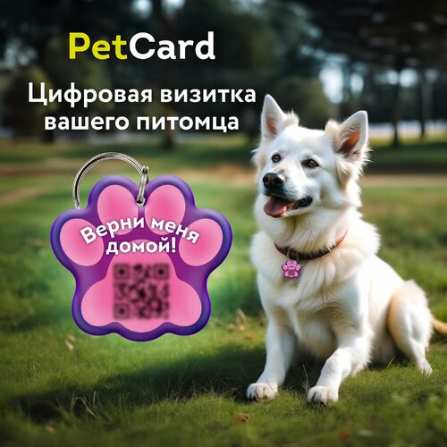   PetCard      QR   NFC, .   -     , -  