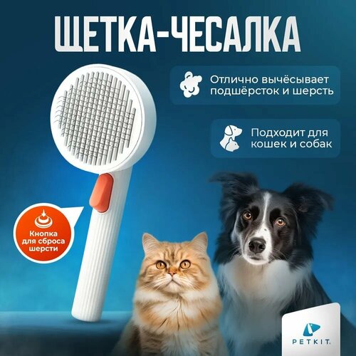  -     Pet Grooming Brush 2   -     , -  