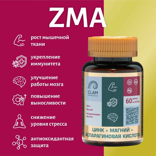    ZMA   ,  +  +  ,  , 60    -     , -  