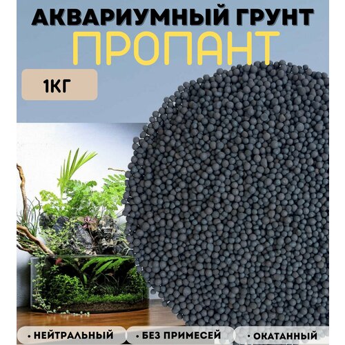 ���� ����������� ����� ��� ���������, ���������� ������� /1��, ������ ������