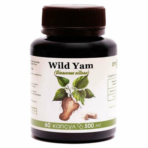    Wild Yam 60    -     , -  