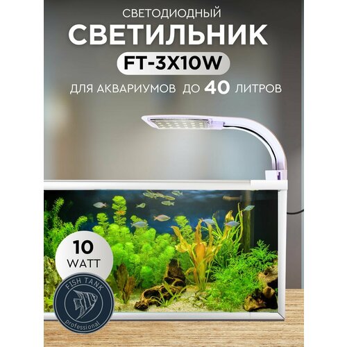     FISH TANK proffessional    -     , -  