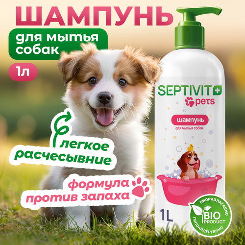 ���� ������� ��� ����� 1000 �� Septivit Premium, ������ ������