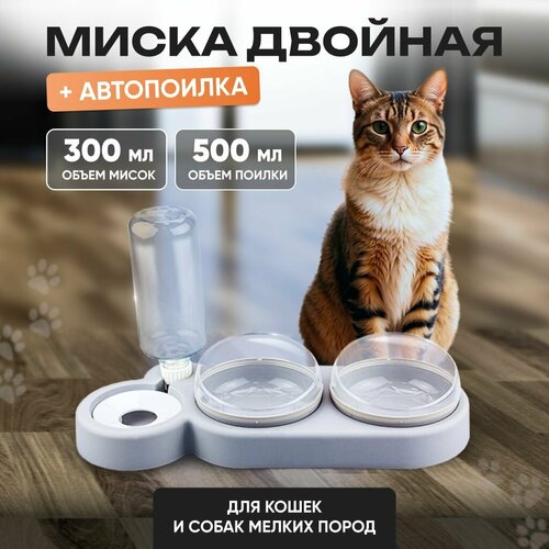 ���� ����� ������� � ��������������� ��� ����� � ����� ������ � ������� ����� ����� + ������ ��� �������� Solmax, ������ ������