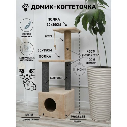 ���� ��������-�����-����������2, ������ ������