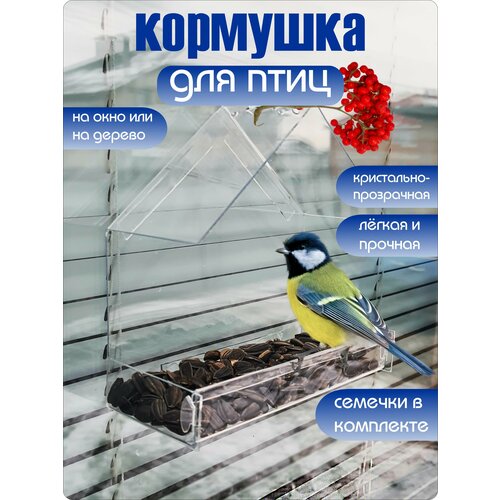 ���� �������� ��� ���� �� ���� ����������, ������ ������