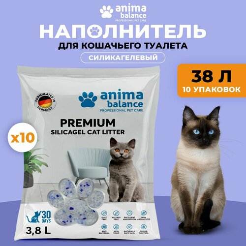 ���� Animabalance, ����������� ��� ��������� ������� �������������, ������� ����������� ��� ������� �� ����������, �����������, ��� ������� 10 � 3,8 �, ������ ������