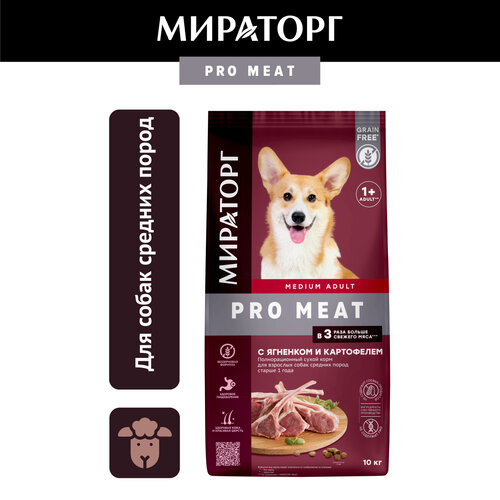     Pro Meat    ,    , 10   -     , -  