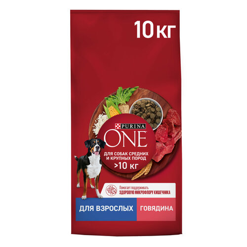    Purina ONE       ,     10   -     , -  