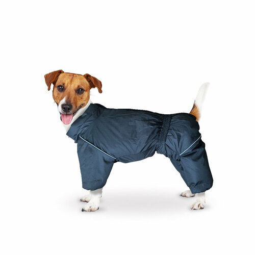 ���� ���������� 