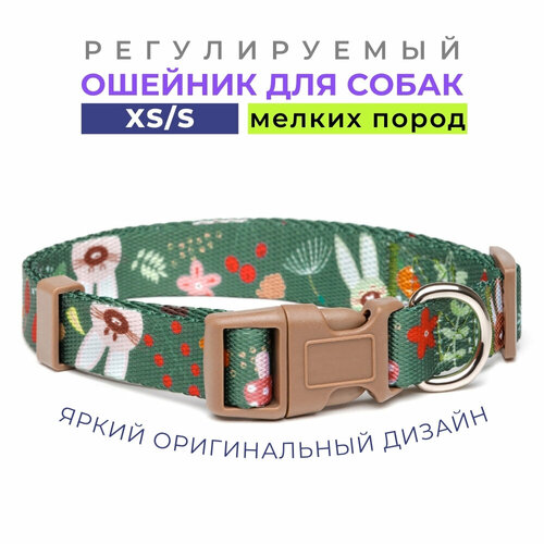 ���� ������� ��� ������ ����� ����� 