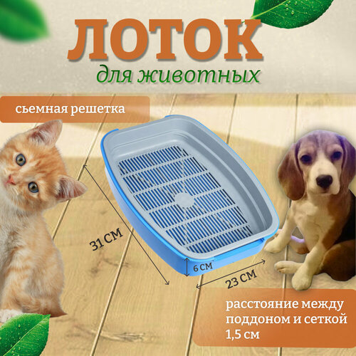 ���� ������ ����� � ������ ��� ��������� ����� (�������), ������ ������