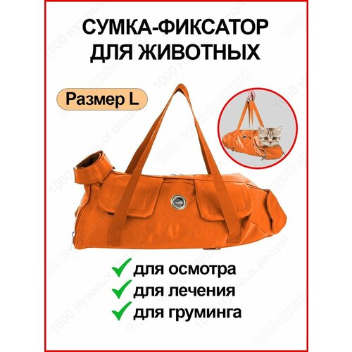 ���� ����� ��������� ��� �������� �������� / ������������ �����-�������� ��� ������������ ����� � ����� / ������ L, ������ ������