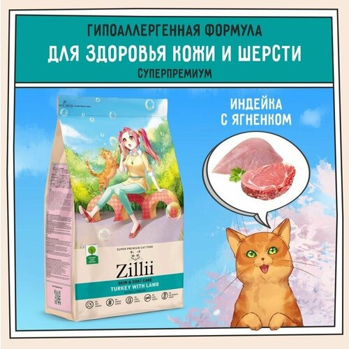          ,  ZILLII (), 2       -     , -  