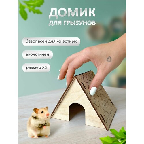 ���� ����� ��� �������� ��� ��� ������� �� Bee Yeva, ������ ������