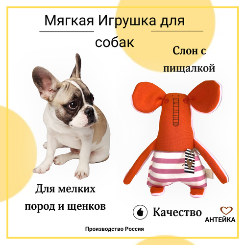 ���� �������   ��� �����  ������� ������� - ���������� ��� ����� 