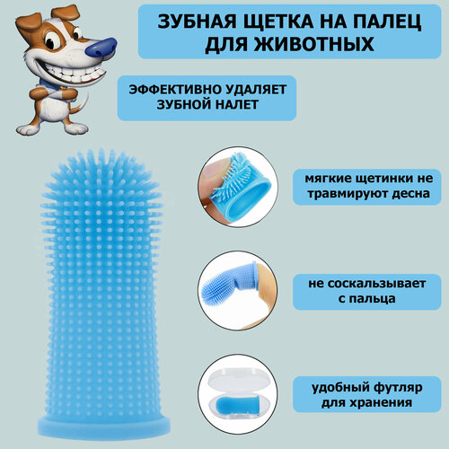 ���� ������ ����� ��� �������� �� ����� � �������. ����������� ����� ��� ������ �����, ��� ����� � �����, �������, ������ ������