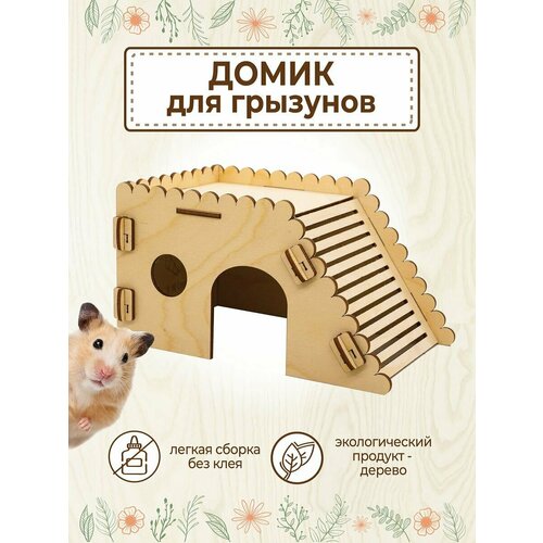 ���� ����� ��� ������ ���� �������� ����������, ������ ������