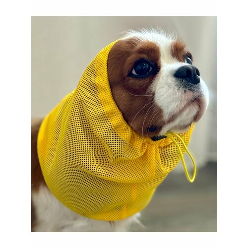 ���� ���� ��� ����� ������� �������� ������ XL, ������ ������