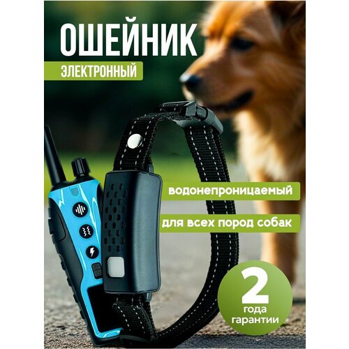 ���� ������� ��� ����������� ����������� �������, ������ ������