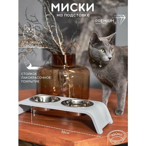 ���� ����� ��� ����� � ���� ������� �� ��������� ������ � ����������, ����� ��� ����� ������ ��������� ����� �� ��������� �������, ������� �����, �����, ������ ������