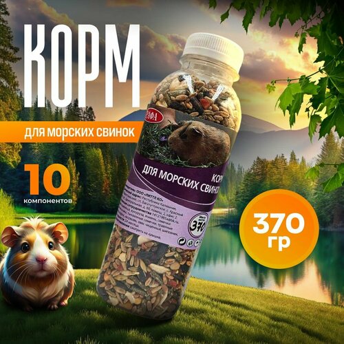 ���� ���� ��� ������� ������, ��������, �������, ���� � ����� ���� 370 ��, ������ ������