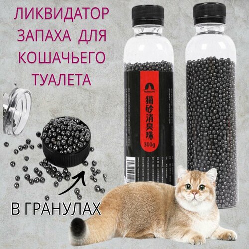 ���� ���������� ������ ��� ��������� ������� � ��������, ����������� ������ ������ ��������� � ��������, ������ ������