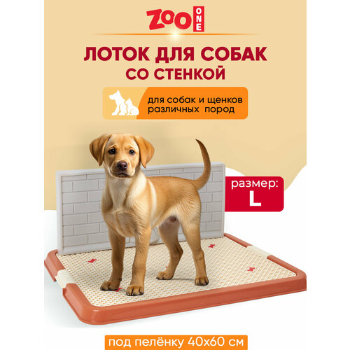 ���� ������ ��� ����� ZooOne �� ������� ������� 67�52�28 �� 1 ��. 1 ��. 67 �� 52 �� 28 �� ����������, ������ ������