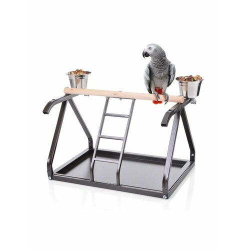 ���� ������� �������� ��� ���� SkyRus , �������, 50�34.5�38��, ������ ������