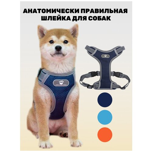 ���� ������ ��� ����� ������, ������� � ������� �����, ����������� �������������, ��� �� 50-��, ���� �����-����� - XL, ������ ������