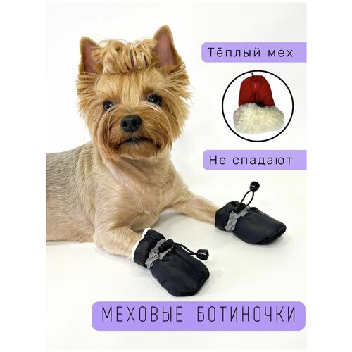 ���� ����� ��� ����� �� ���� / �� ������� / �������� ��� ������ / ������ 4, ������ ������