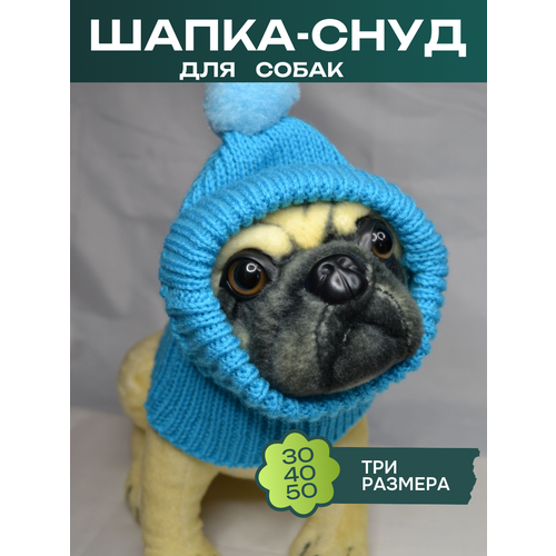 ���� �����-���� ��� ����� � ��������, ������ ������