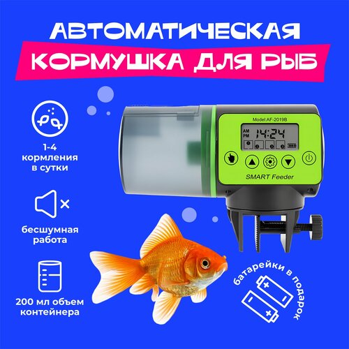 ���� �������������� �������� ��� ���, ������ ������