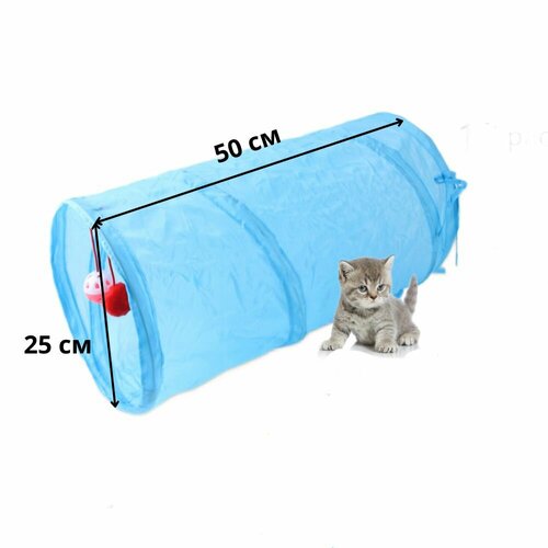 ���� ������� ������ ������� ��� �����, ����� � �����, ��� ��������, ������ ������