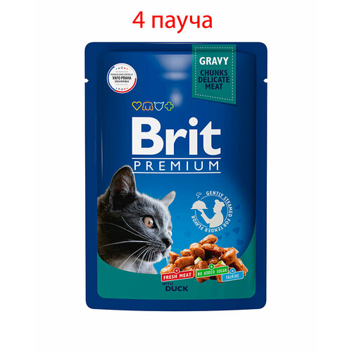   Brit Premium       85, 4   -     , -  