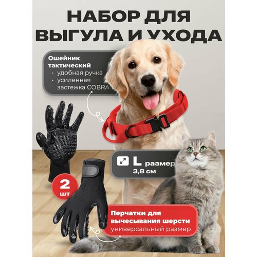 ���� ������� ��� �����, �������� �������� ��� ����������� ������ �������� SSY, ������ ������