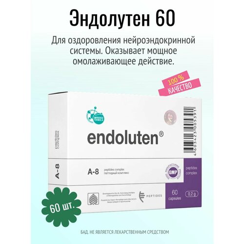 ���� ��������� N60 (���), ������ ������