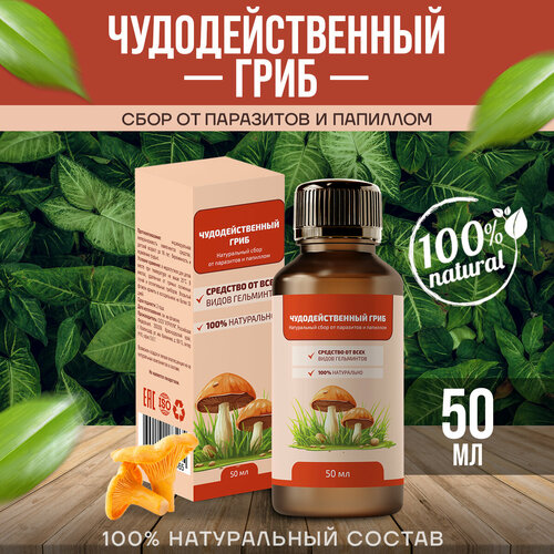 ���� ��������������� ���� �� ��������� � �������� ������ 50 ��, ������ ������