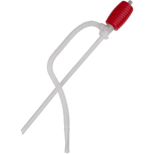 ���� ����� ������ ��� ������� ����, ������ ������