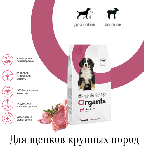  Organix         -     , -,   