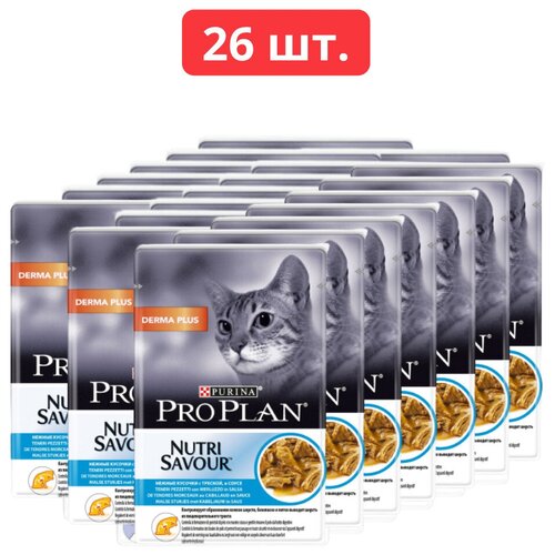    Pro Plan     ,   , , 85 (26 .)   -     , -  