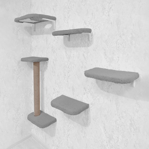 ���� ��������� ������� �������� ��� ����� ��� ���� 