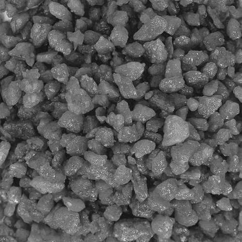 ���� ����������� ����� ��� ��������� ���������� �����������, ��� ����������� � ��������, Zoo One, ��������� ��������, 